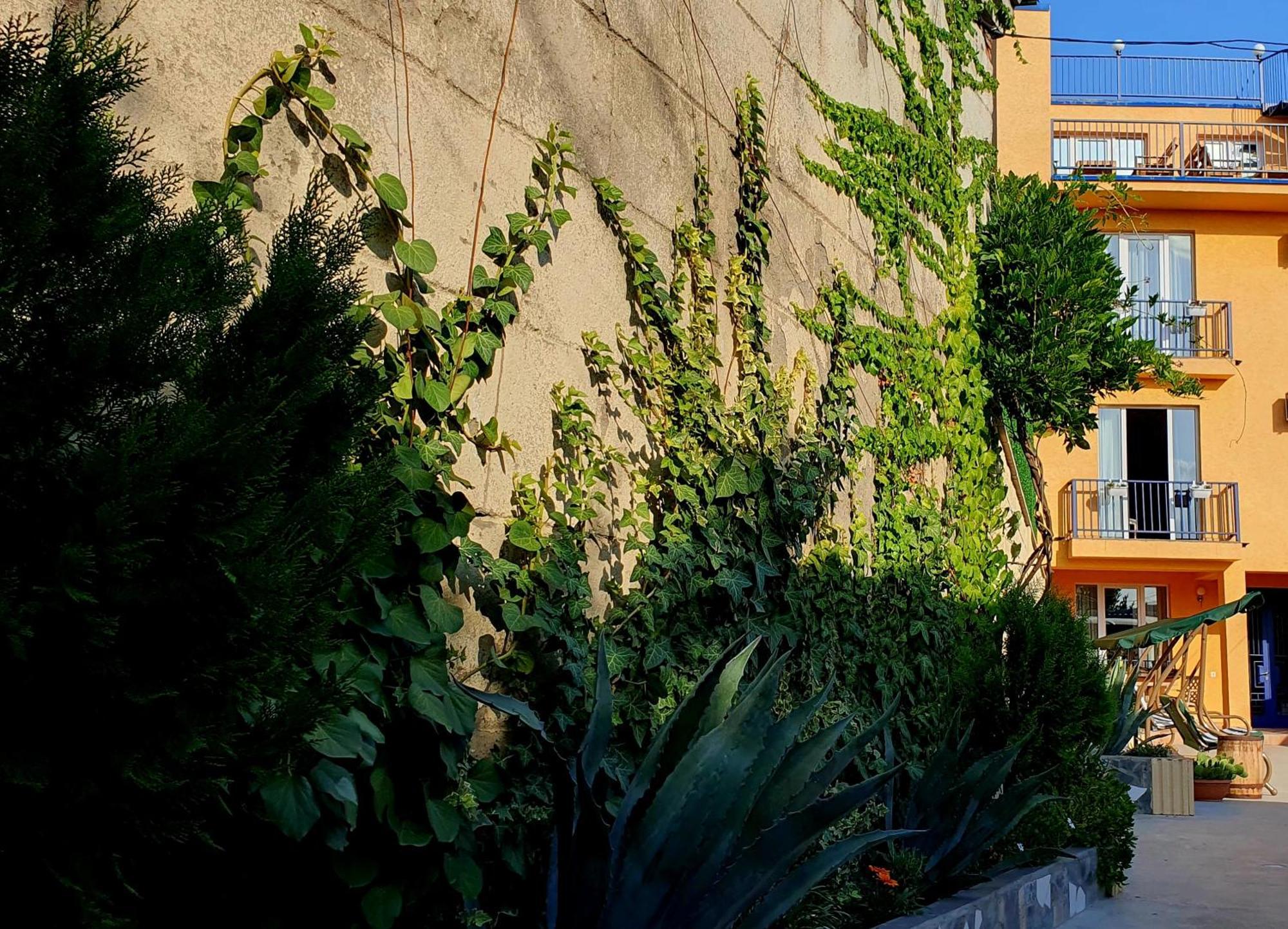 Hotel Hills In Old Tbilisi Buitenkant foto